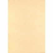 Дизайн-бумага PCR 1843 Буффало соломенный (А4,200г,50л.)